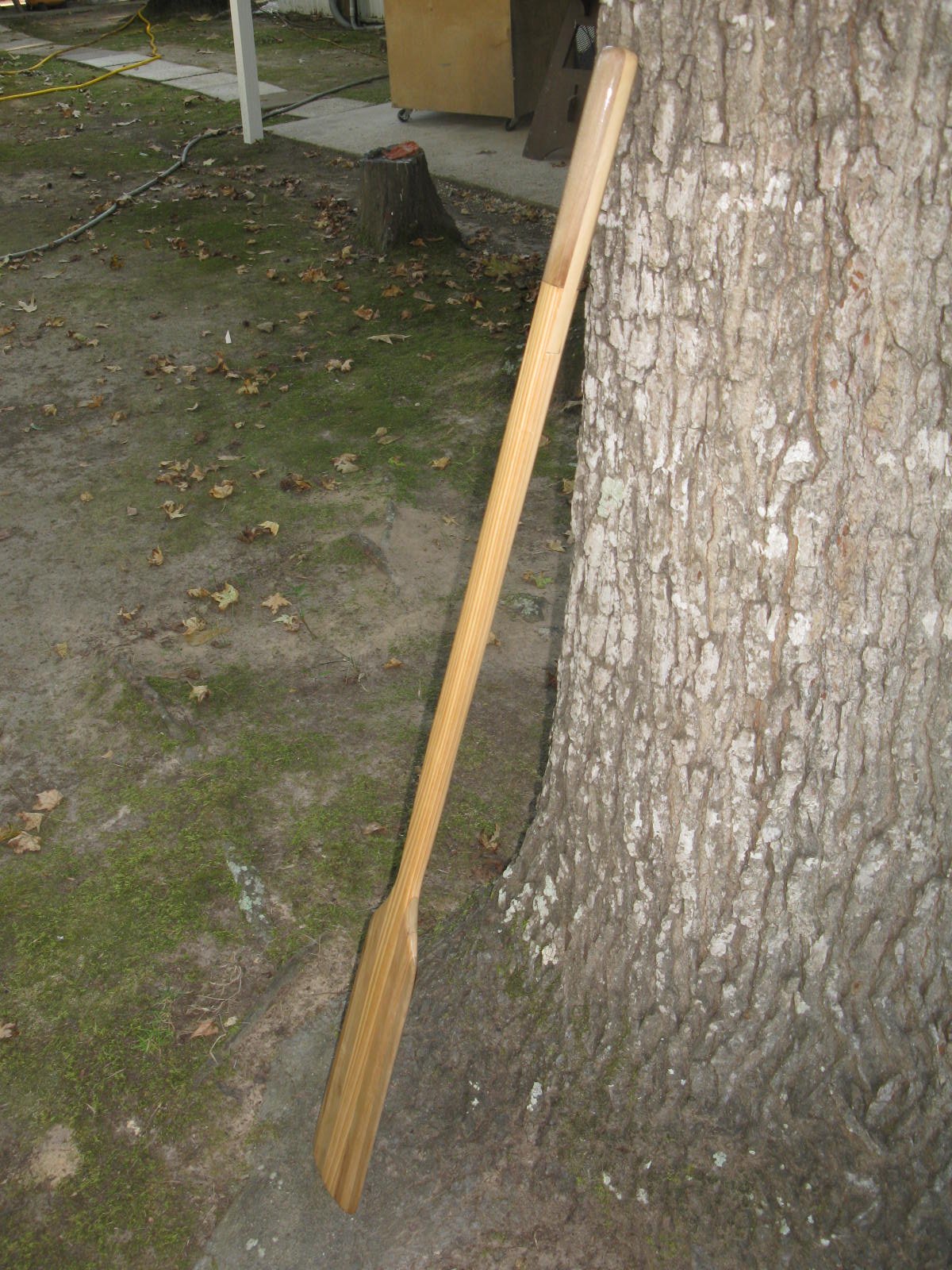 IMG_4605.JPG