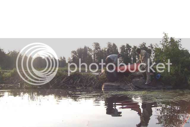 BeaverDam.jpg