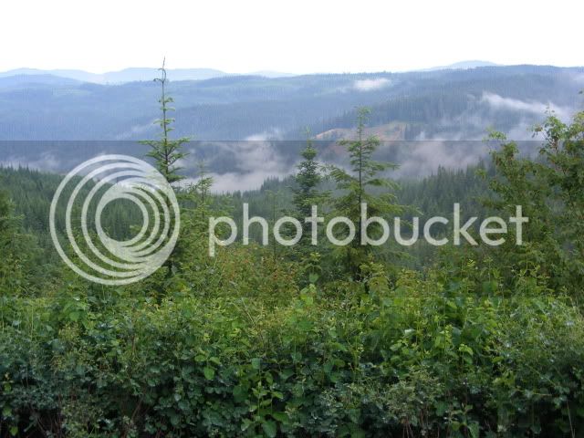 dscf0430.jpg