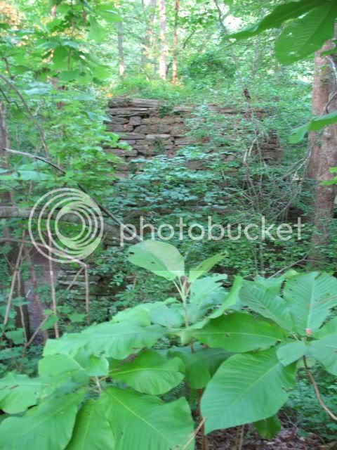 IMG_0723.jpg
