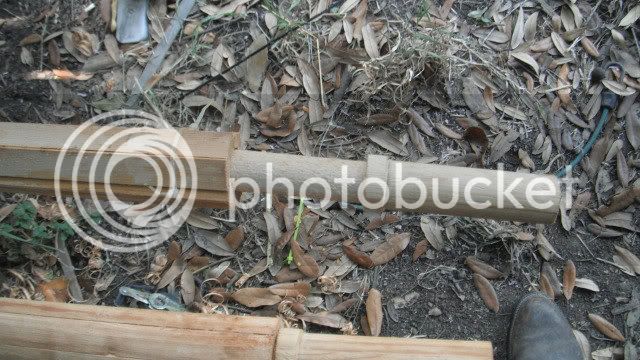 paddle010.jpg