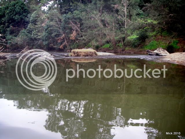 ImbilPentax029.jpg