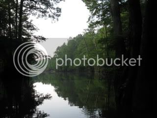 IMG_0322.jpg