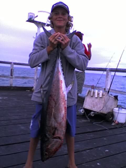 bluefintuna.jpg