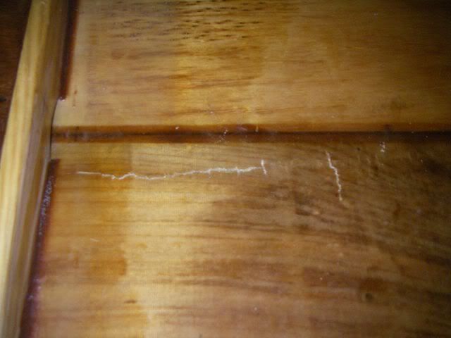 IMGP1072002.jpg