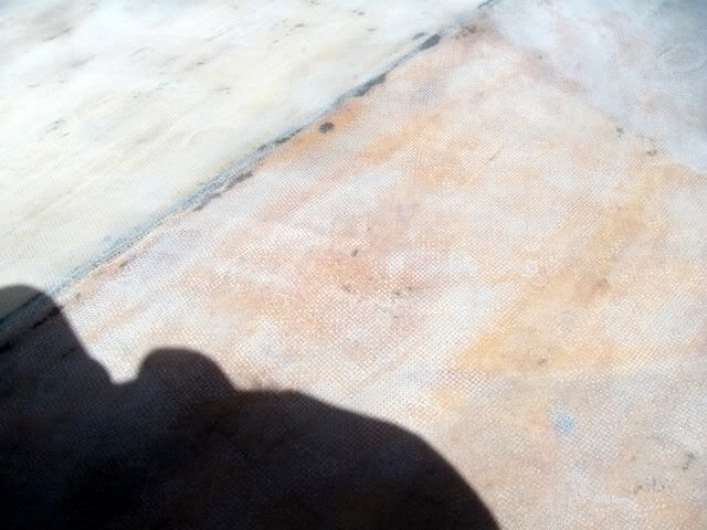 IMGP1076001.jpg
