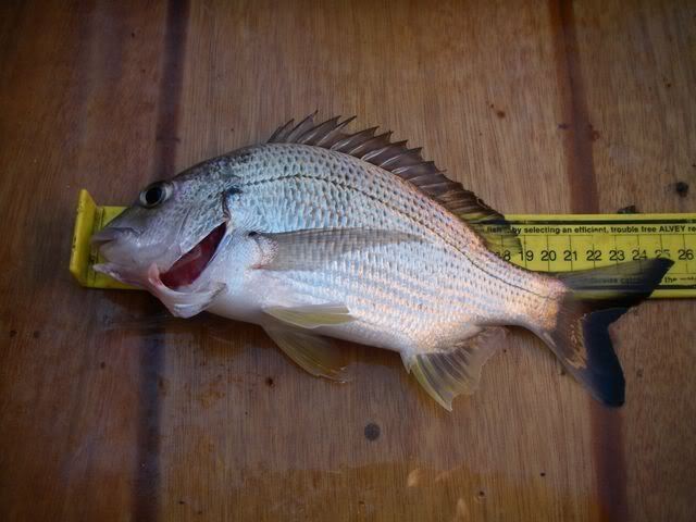 027640x480.jpg