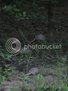 IMG_0325.jpg