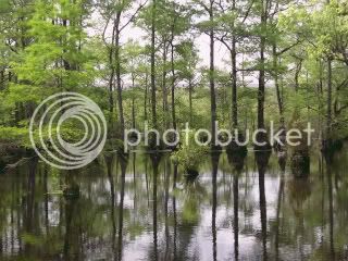 Millpond1.jpg