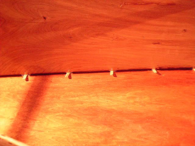 Picture053.jpg