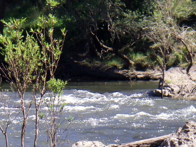 IMGP2029073.jpg