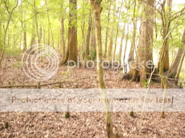100_1255.jpg