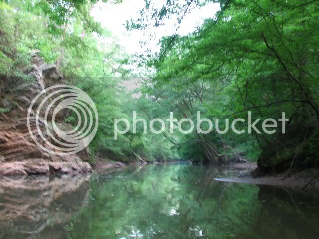 IMG_0736.jpg