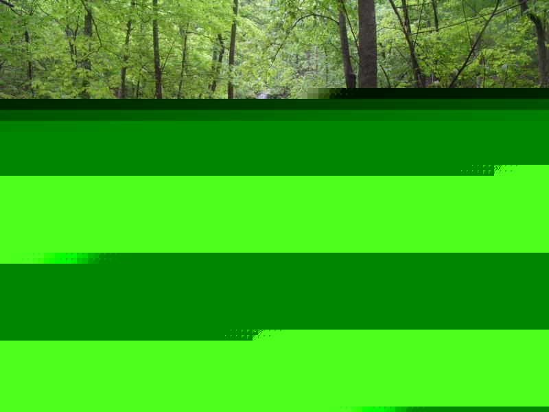 PICT0122.jpg