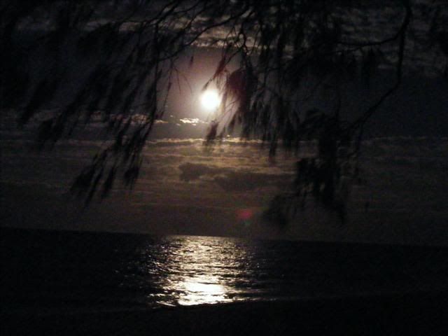 2007_05030091Small.jpg