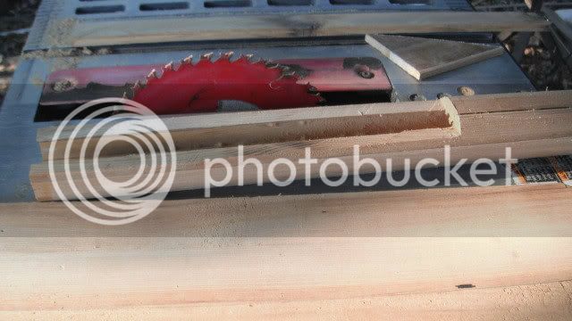 paddle013.jpg