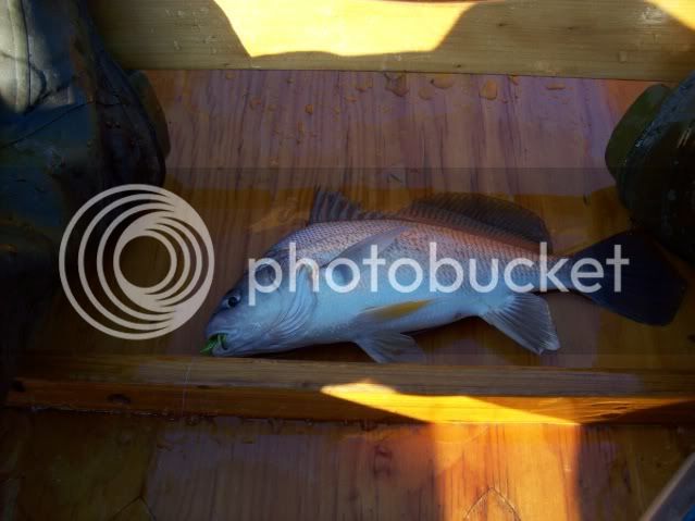 fishing in southwest Lake Verret