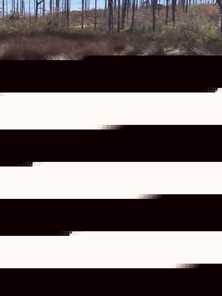 100_6012.jpg