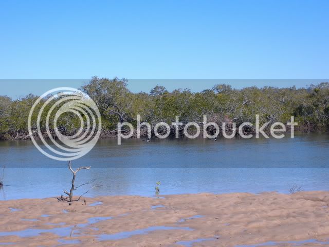 2007_0704Roundhill0010.jpg
