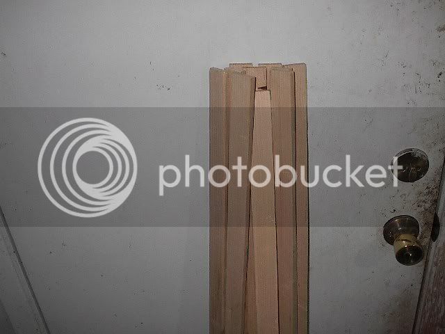 IM002572.jpg