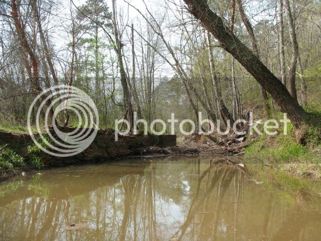 IMG_0613.jpg