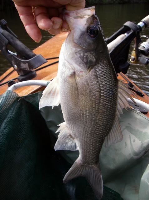 017640x480.jpg