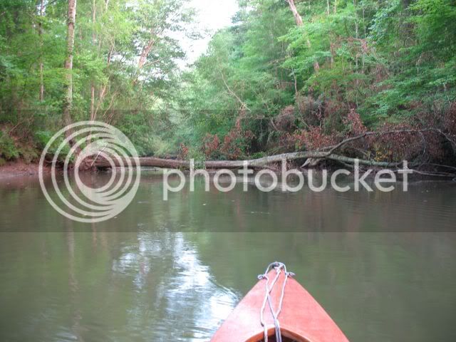 IMG_0737.jpg