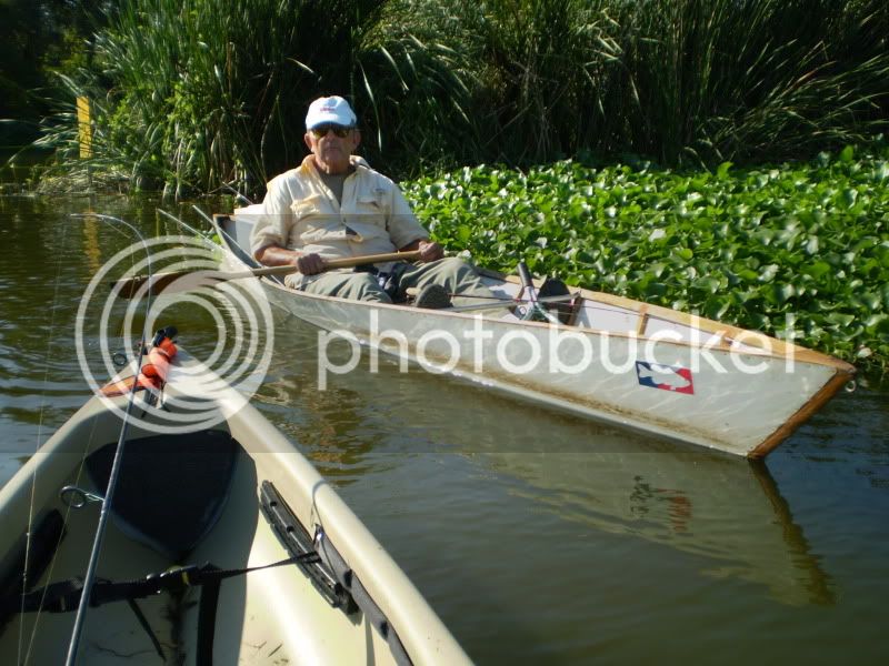 ThinBote008.jpg