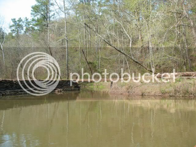 IMG_0612.jpg