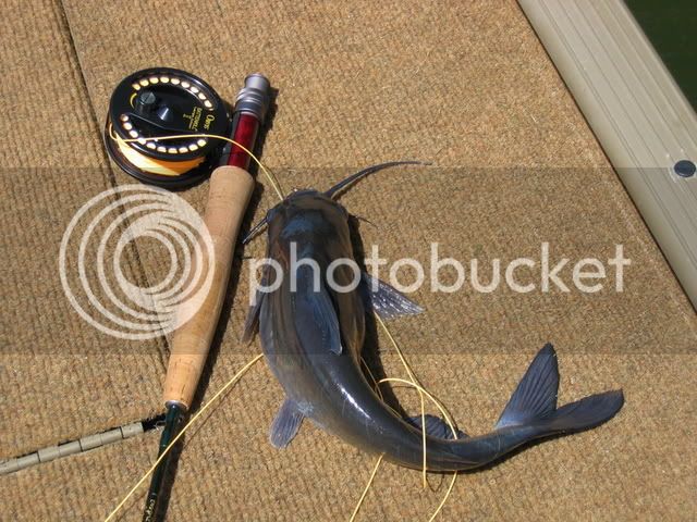 IMG_1731.jpg