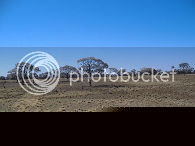 2008_0807Longreach0007.jpg