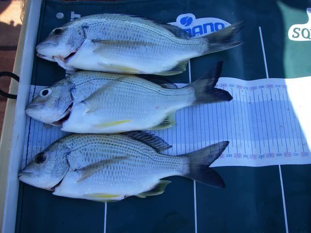 031640x480.jpg