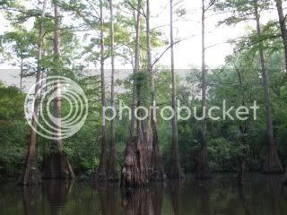 IMG_0321.jpg