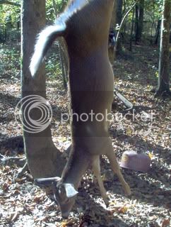 boilsislandhuntingtrip11-25-10007.jpg