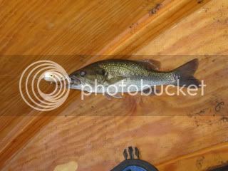 IMG_0320.jpg