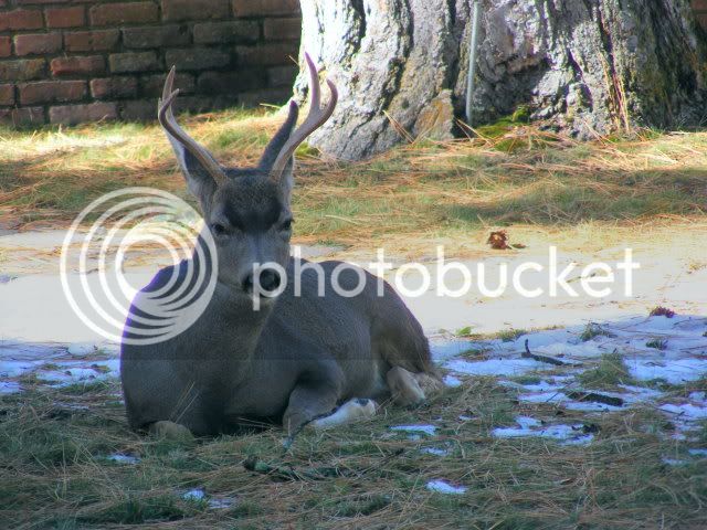 dscf0749.jpg