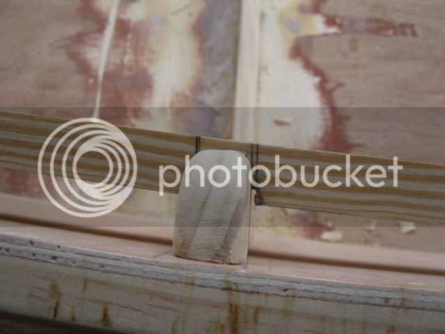 IMG_0704.jpg