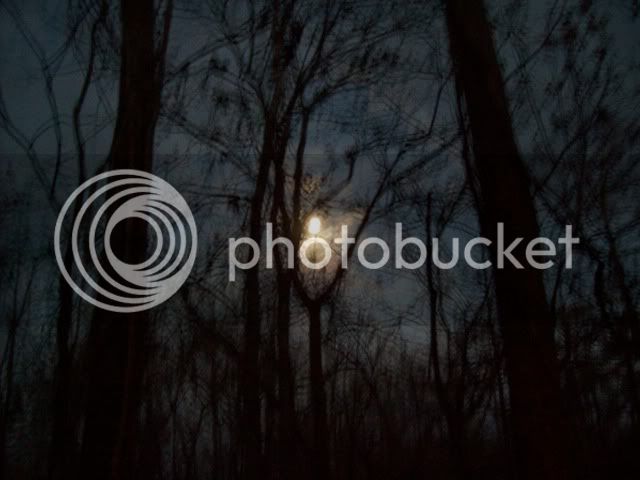 fullmoon.jpg