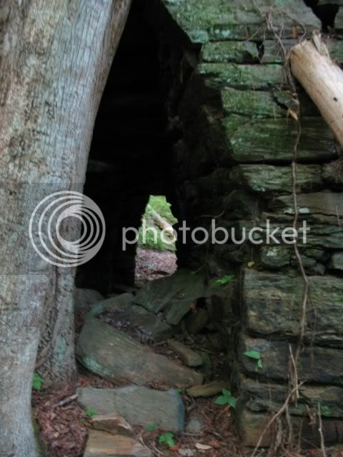 IMG_0729.jpg