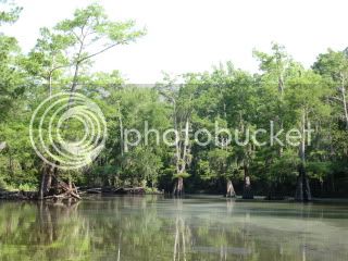 IMG_0326.jpg