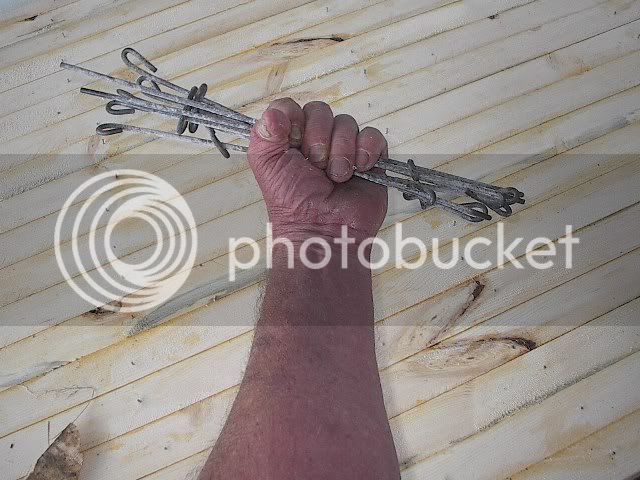 IM002621.jpg