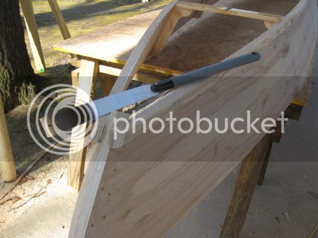 IMG_1118.jpg