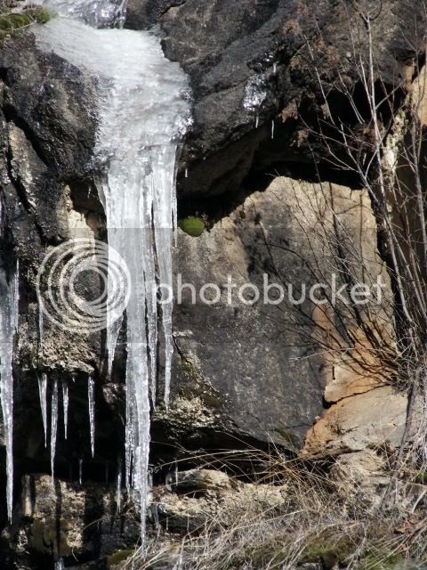 dscf0183.jpg
