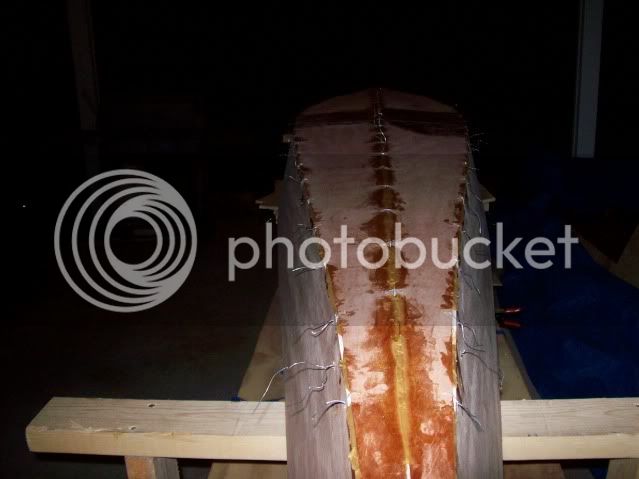 100_0781.jpg