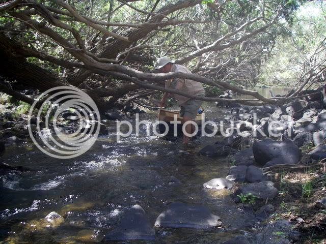 CaniaPentax073.jpg