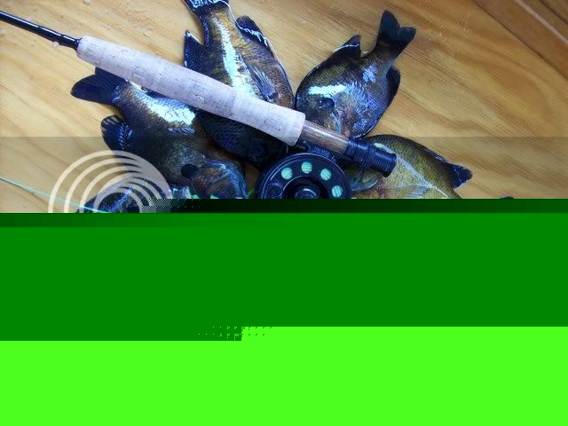 100_0321.jpg