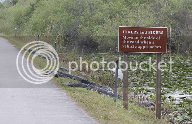 Floridaroadsign.jpg