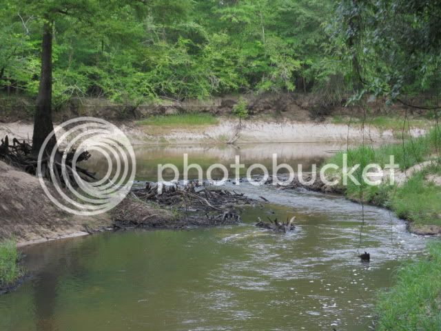 IMG_1694.jpg