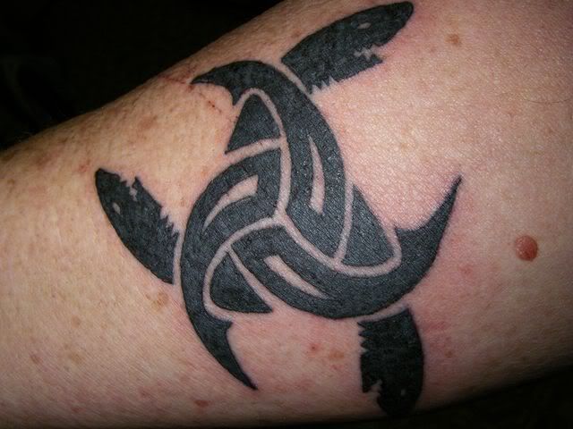 MyBikeandTatt009640x480.jpg