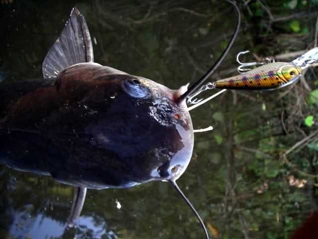 009640x480.jpg